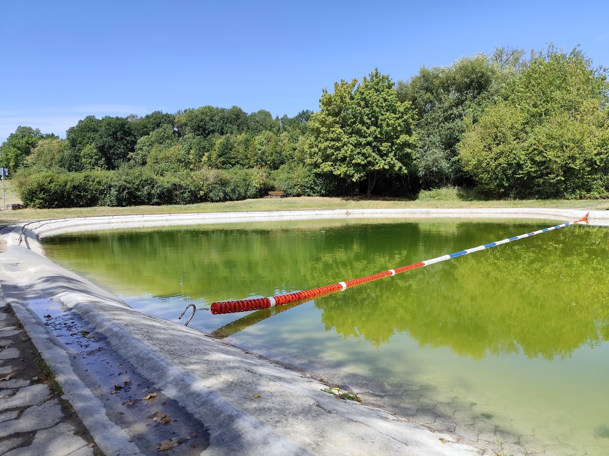 Gröninger Badeteich Mitte August